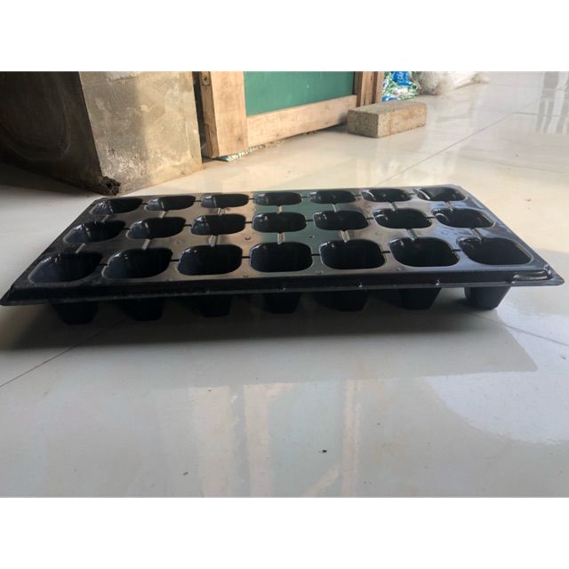 Khay vỉ ươm hạt 21 lỗ