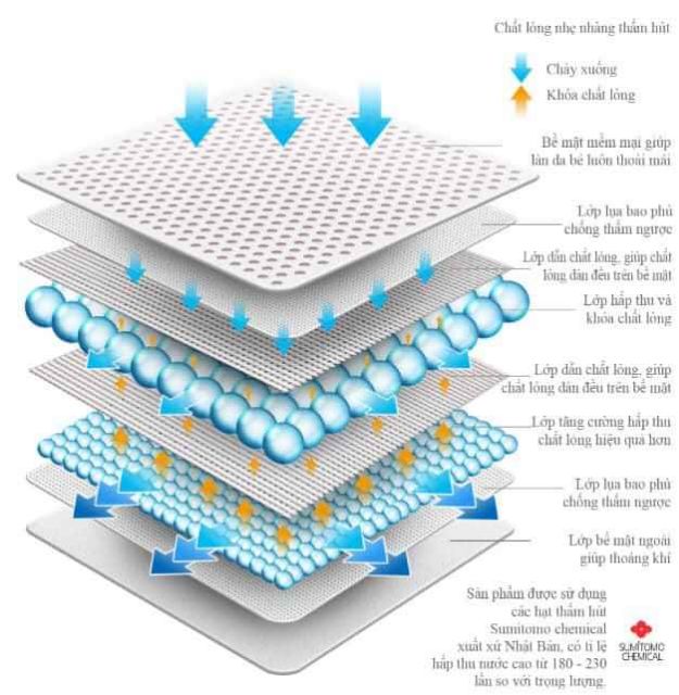 Tả quần mijuku 50 miếng size L XL XXL XXXL 4XL 5XL