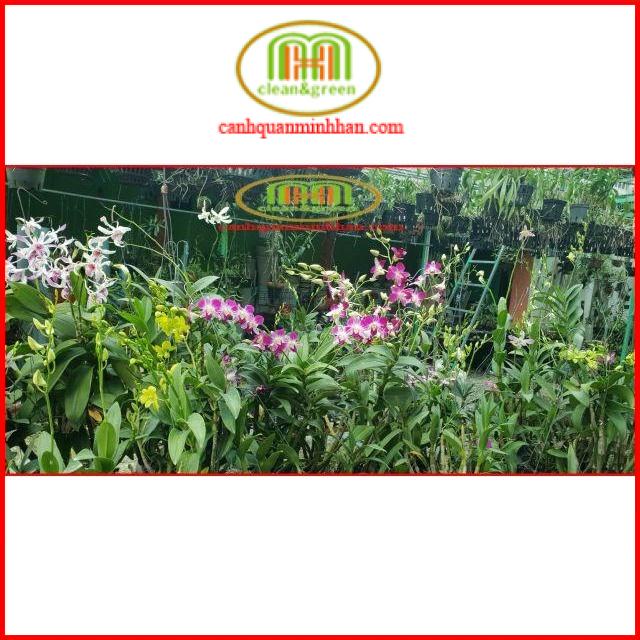 Phân chì Nhật cho lan tan chậm túi lưới  bón hoa lan và cây kiểng , phân tan chậm thông minh có kiểm soát