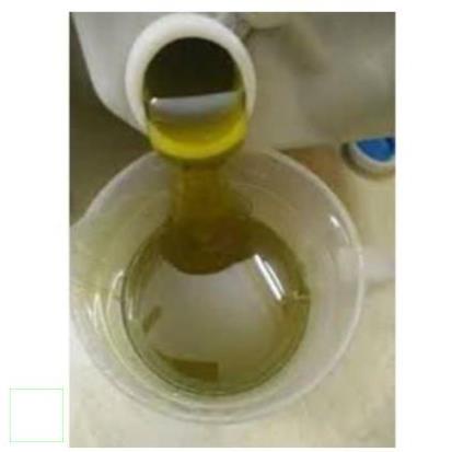 Mật ong bạc hà nguyên chất 1 lit