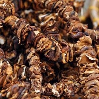 Nấm hương rừng khô 100g