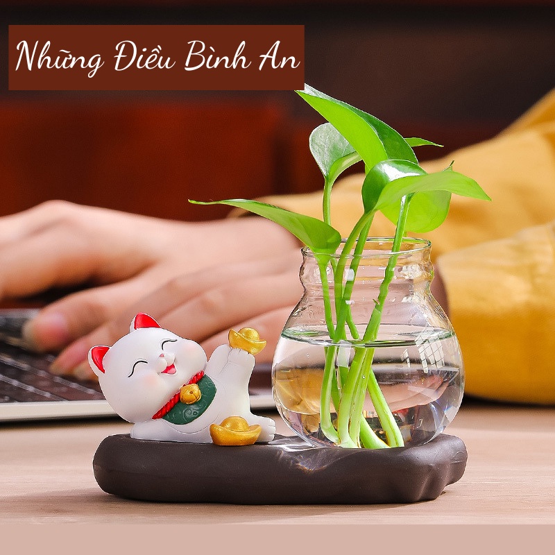 Chậu cây thủy sinh kèm Mèo may mắn phong thủy dễ thương trang trí nhà cửa, bàn làm việc💕FREESHIP 50k💕-Những Điều Bình An