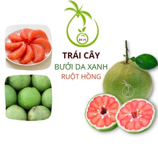 Bưởi Da Xanh Bến Tre | Loại 1 Đặc Biệt - Ruột Đỏ Hồng - Vỏ Mỏng - Để Lâu Ăn Ngon Ngọt - Cây Bưởi Lão - Đạt 1,5kg Trở Lên