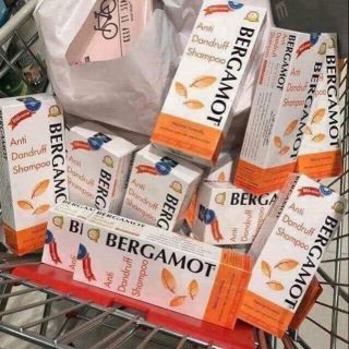 Dầu gội trị gàu bergamot