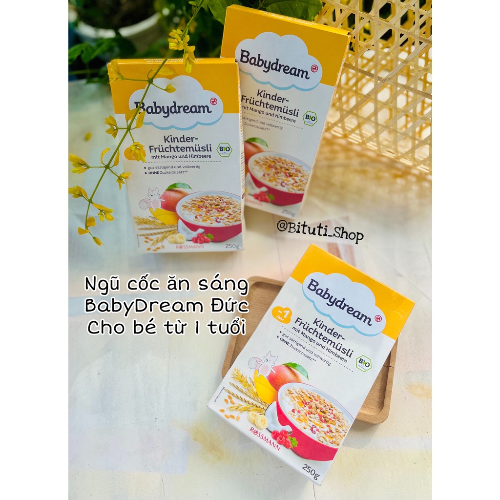 Ngũ cốc ăn sáng BabyDream Đức với các loại hạt và trái cây khô dinh dưỡng cho bé từ 1 tuổi - Bituti Shop