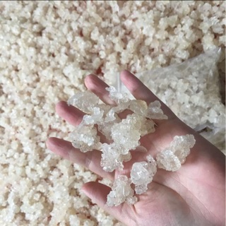 Tuyết yến kéo sợi tuyển chọn đặc biệt 100g tặng kèm táo đỏ 100g