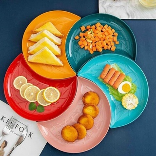 Set 5 đĩa hình bán nguyệt