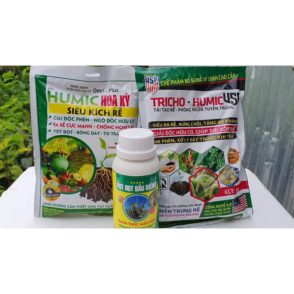 Combo NUÔI CÂY SẦU RIÊNG CON Giúp Rễ Khỏe, Giàu Lông Hút, Đất Phì Nhiêu - STCG