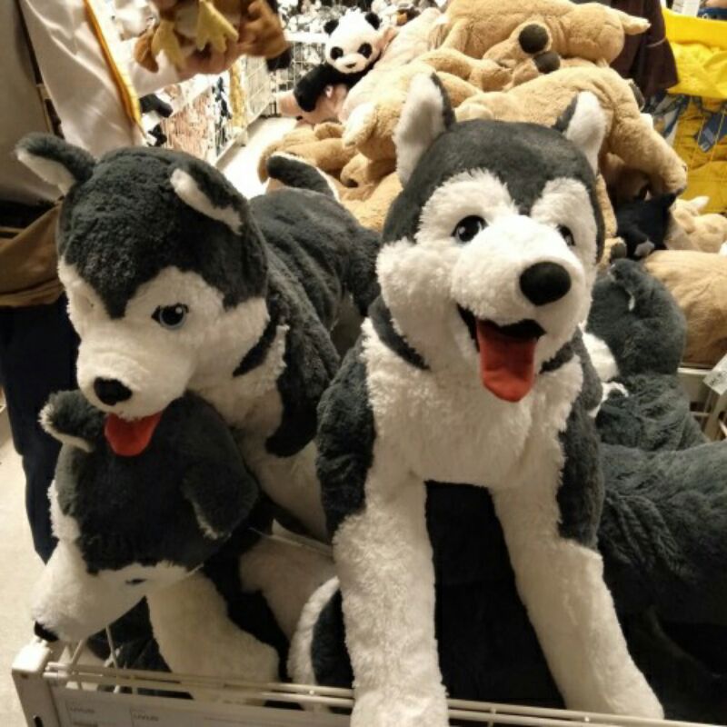 Gấu bông chó husky chính hãng Ikea