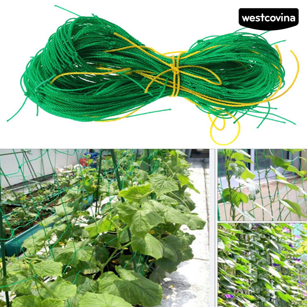 Lưới cho cây dây leo tiện dụng và bền