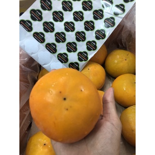 Combo 4 trái Hồng giòn Hàn Quốc hơn 1 kg