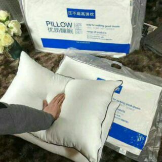 Ruột gối HILTON( loại 1)