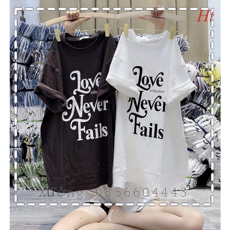 Áo phông love never HT11