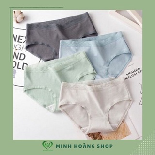 Quần chip nữ cotton kháng khuẩn