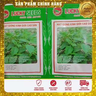 Hạt Giống Rau Kinh Giới(5 gr)