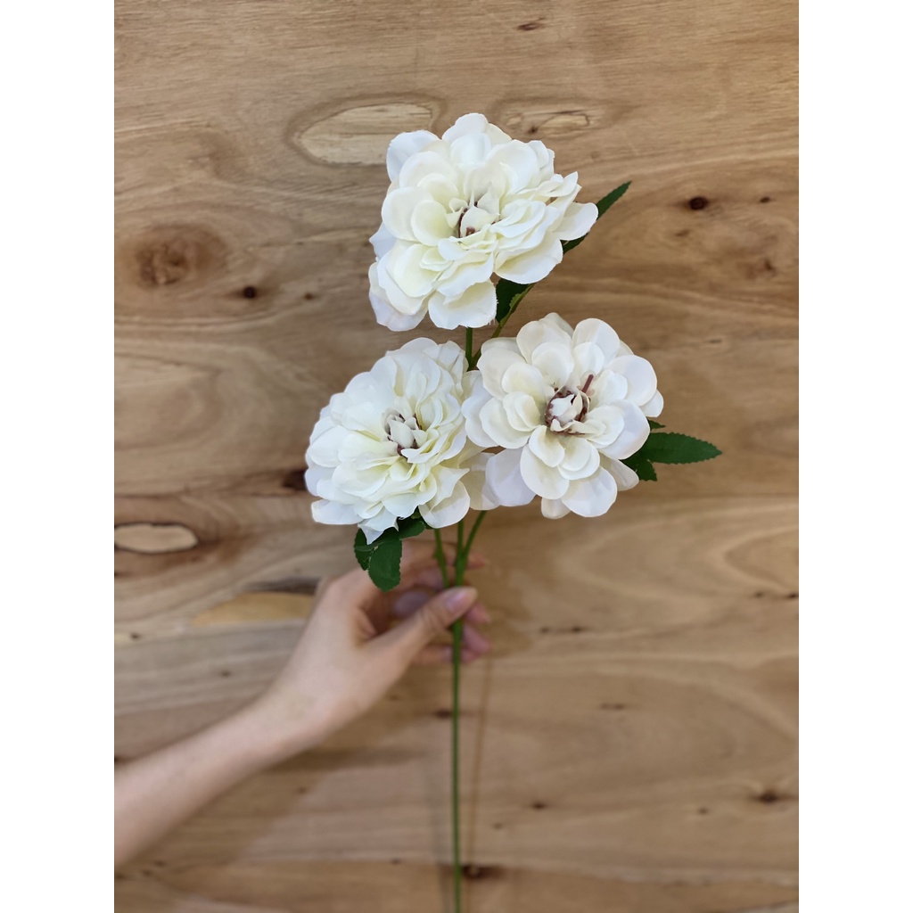 Cành hoa thược dược 3 bông