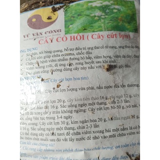 Cây cỏ hôi (cứt lợn) hoa tím  khô xông xoang, đâu đầu 1kg 49k h
