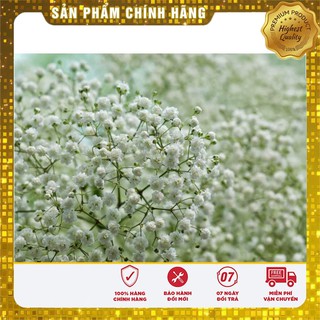 Bộ gói hạt giống Baby mix
