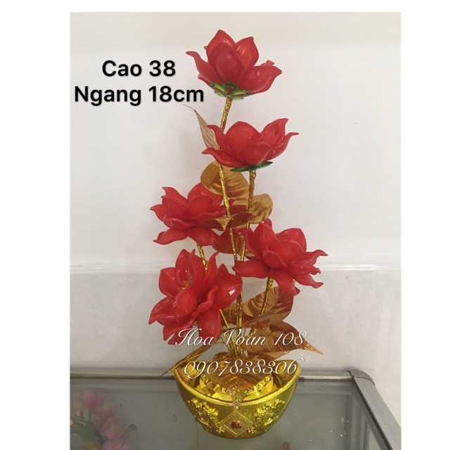 Chậu hoa để bàn thờ cao 38cm