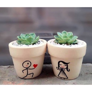 Combo 2 chậu sen đá “ Couple love “