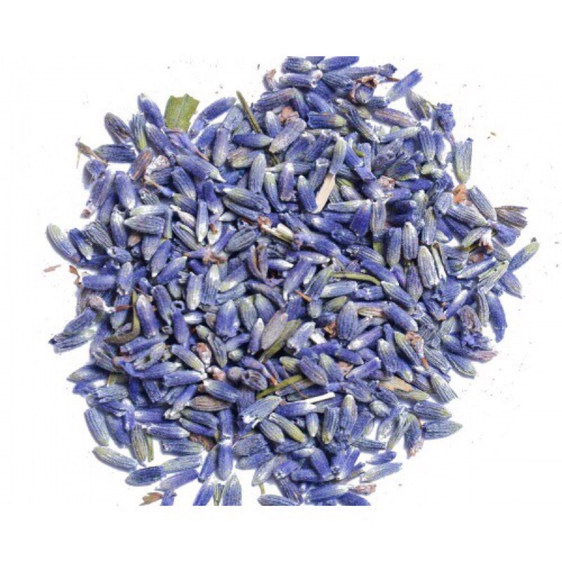 Hạt Giống Hoa Oải Hương 4 mùa/Lavender,Gói 100 Hạt Hoa Oải Hương Giống Khỏe tỉ lệ nảy mầm rất cao