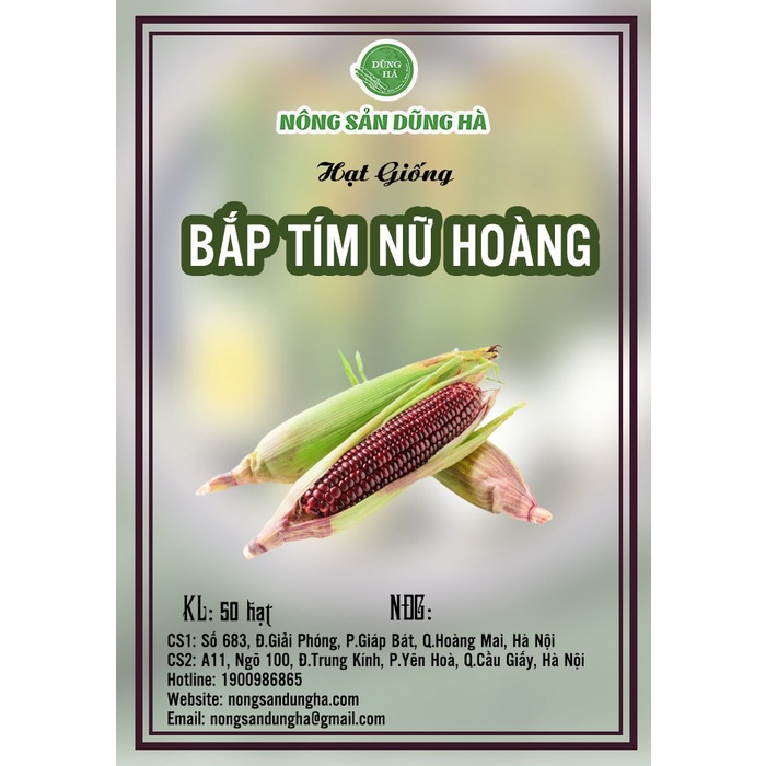 Hạt giống bắp tím (ngô tím) nữ hoàng giống F1 năng suất cao