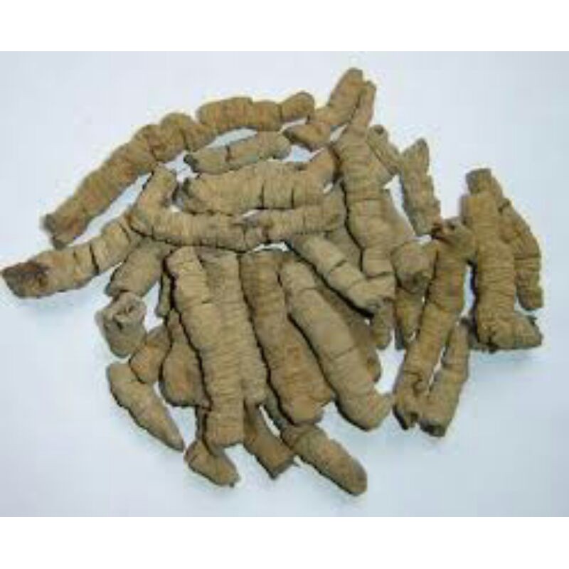 Sỉ giá gốc ba kích tím khô 100g - 200g - 300g