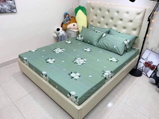 Sét 3 món ga chun cà 2 vỏ gối cottong poly