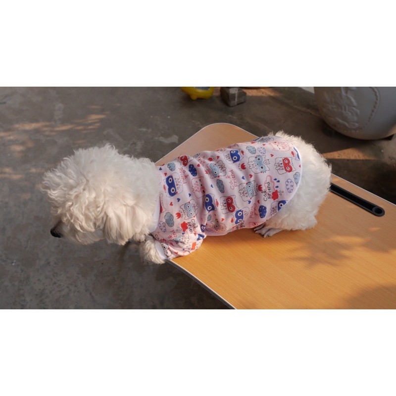 Quần áo thú cưng - Hàng tự thiết kế - Ảnh shop tự chụp