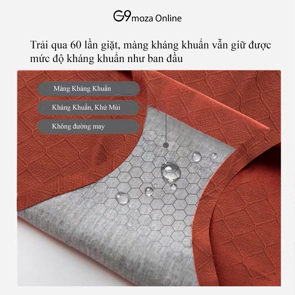 Quần lót nữ cottong basic 181  kháng khuẩn, thoáng mát
