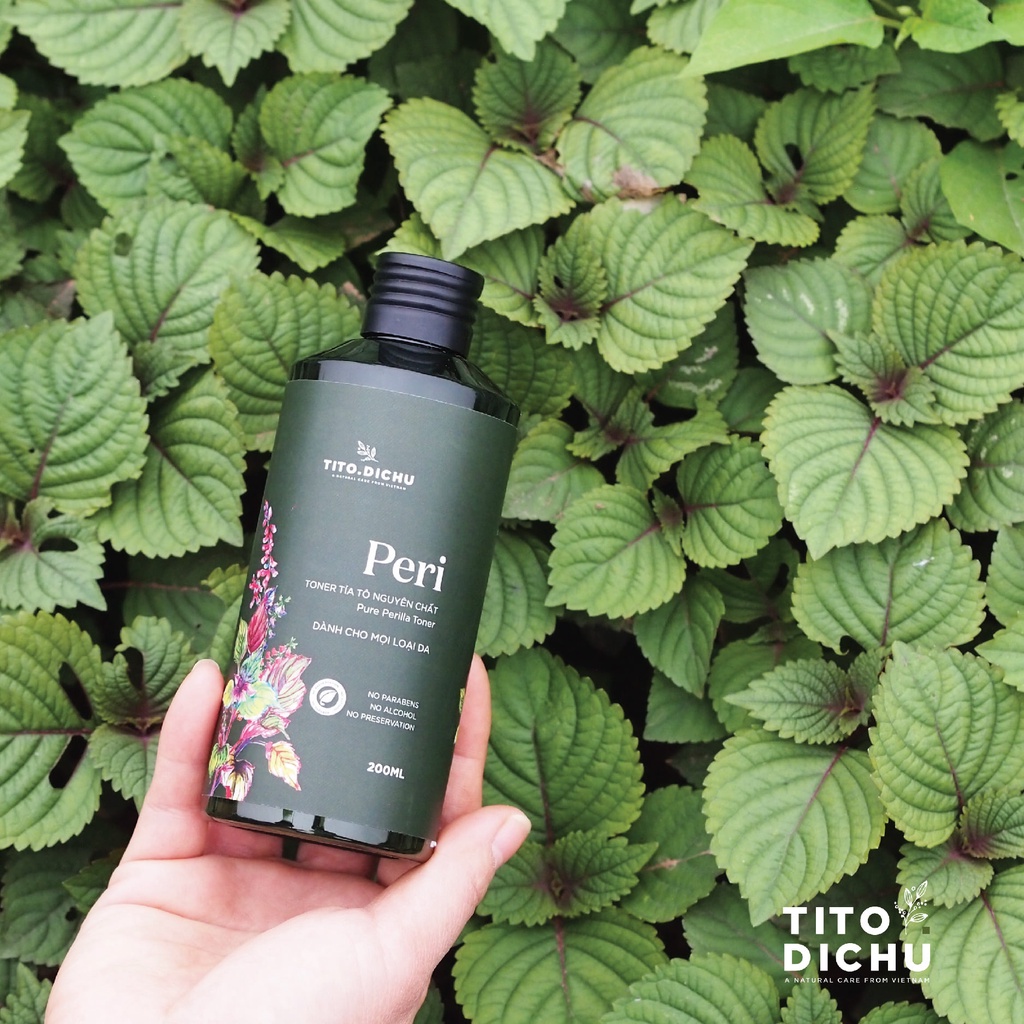 Nước hoa hồng lotion toner tía tô giảm mụn sáng da mờ tàn nhang nám - handmade nhà làm