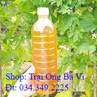 Mật ong hoa cỏ kim hoa xuyến chi mật rất thơm vàng óng