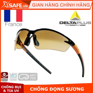 Kính bảo hộ Deltaplus FUJI2