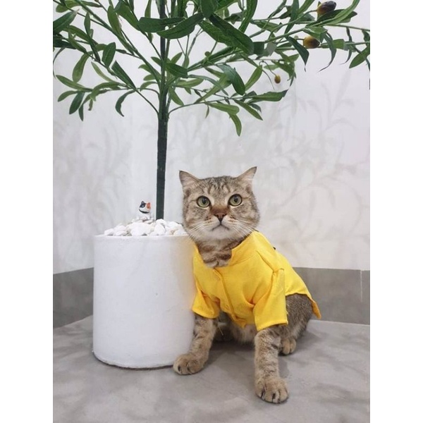 1-25kg áo dài Tết cho pets cưng, chó mèo vải gấm