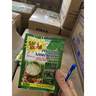 Siêu ra rễ 30gr