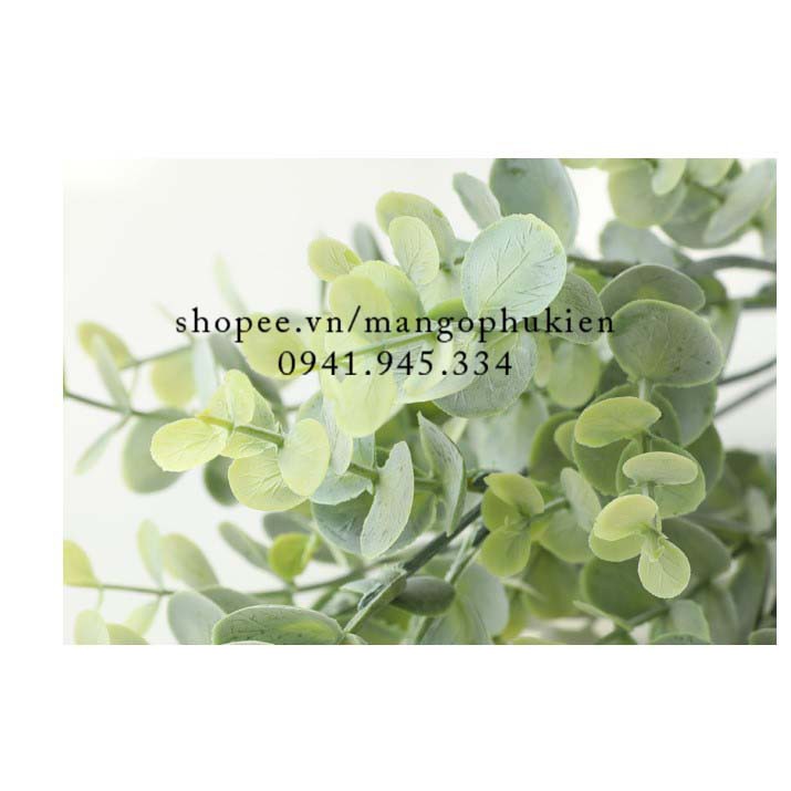 Chùm lá táo nhỏ phủ phấn trắng phụ kiện chụp ảnh decor | BigBuy360 - bigbuy360.vn