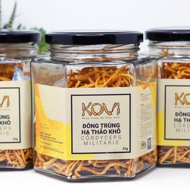 Đông trùng hạ thảo khô sấy thăng hoa KOVI hũ 25gr