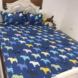 BỘ CHĂN GA COTTON ELISE 1M8-2M MS 009