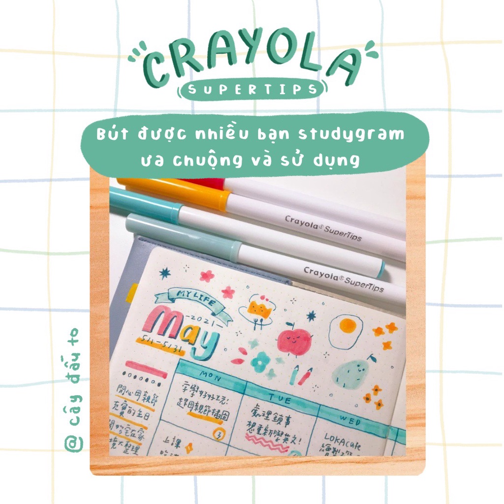 Bộ Bút Lông 10 Màu Crayola Super Tips Mỹ Cây Đầu To