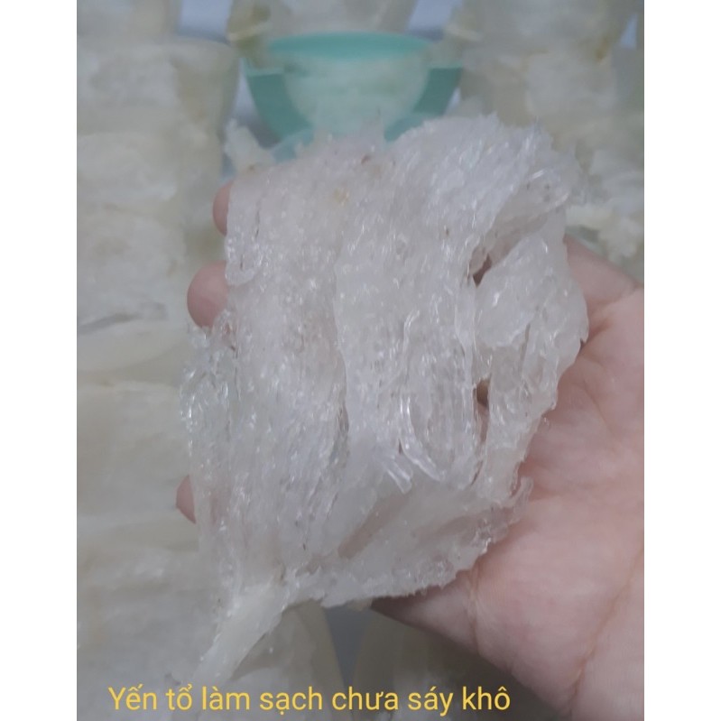 Tổ yến rút lông sạch chưa sấy khô - 100g