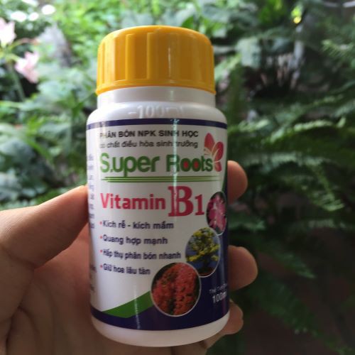 Super roots B1