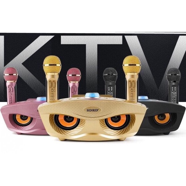 Loa karaoke bluetooth Sd306 tặng 2 mic không dây