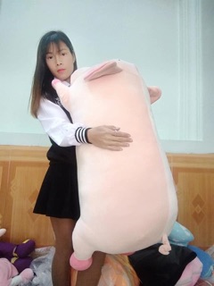 Gấu bông lợn phê cần