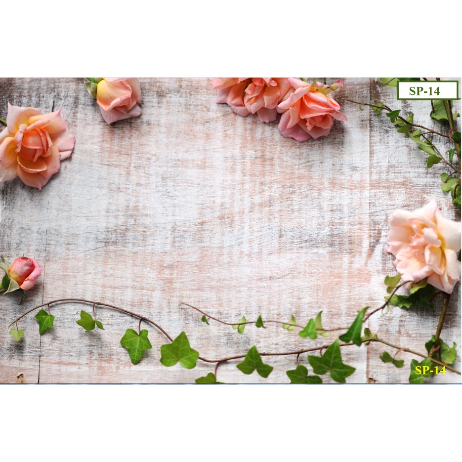 Phông Nền Chụp Ảnh Sản Phẩm Phụ Kiện Mỹ Phẩm 5D Size 30cm-120cm