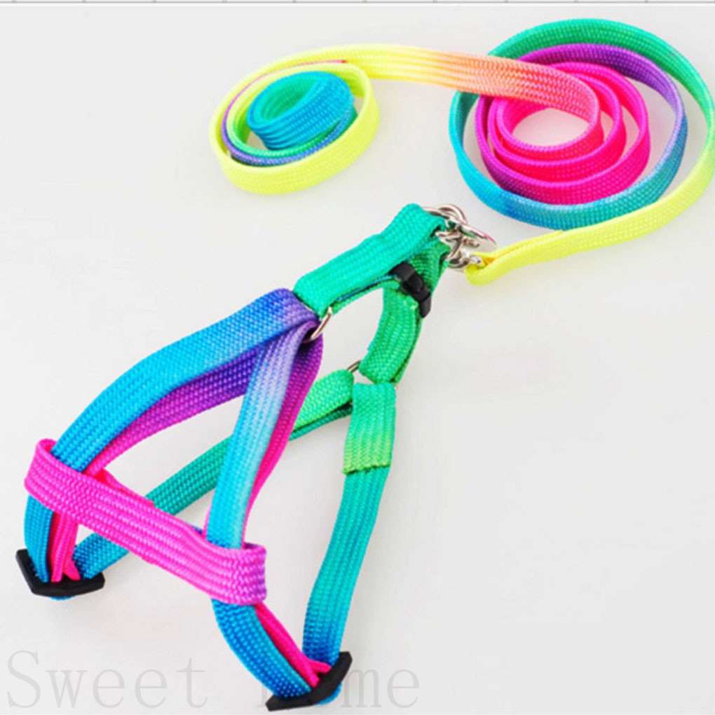 Adjustable Rainbow Small Rabbit Cat Collar Leash Band Dog Pets Lead Harness Strap Belt CHSG