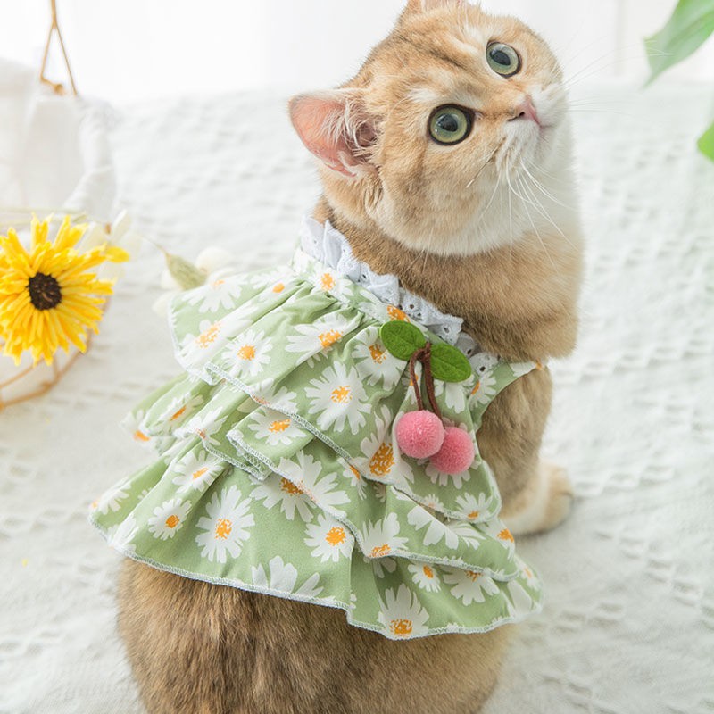 Summer Cat Skirt Quần áo Rối British Short Blue Spring Kitten Pet Chống rụng lông Mùa hè Mỏng