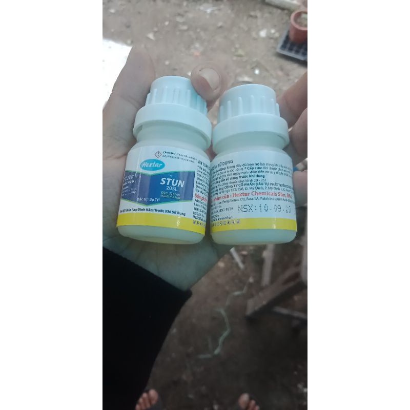Stun trị trĩ rệp không mùi.