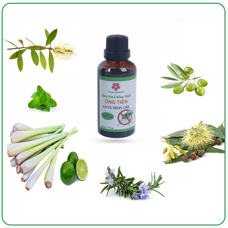 Tinh dầu bôi chống muỗi đốt Ông Tiên 50ml (Tự nhiên - An toàn)