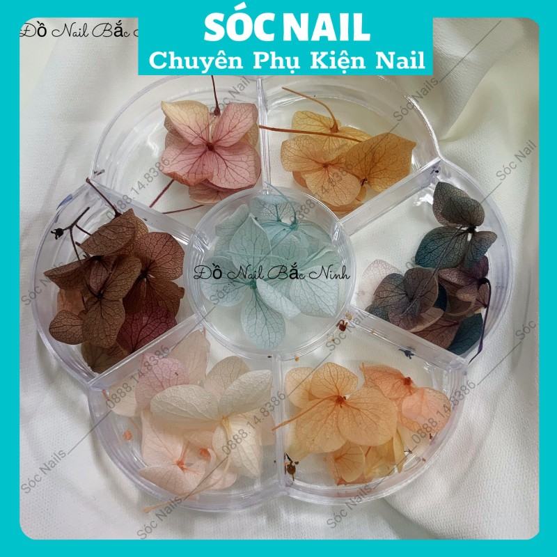 Hoa Khô Lụa Ẩn Móng Gel Nail Giá Rẻ,Hoa Trang Trí Móng Hàn Quốc 7 Màu