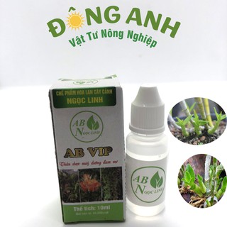 Dưỡng chất AB Ngọc Linh VIP - kéo ngọn , kích chồi, test hoa, tăng đề kháng (100%Hàng chính hãng )